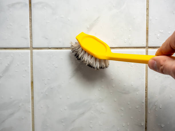 Best Black Mold Remediation in Dranesville, VA