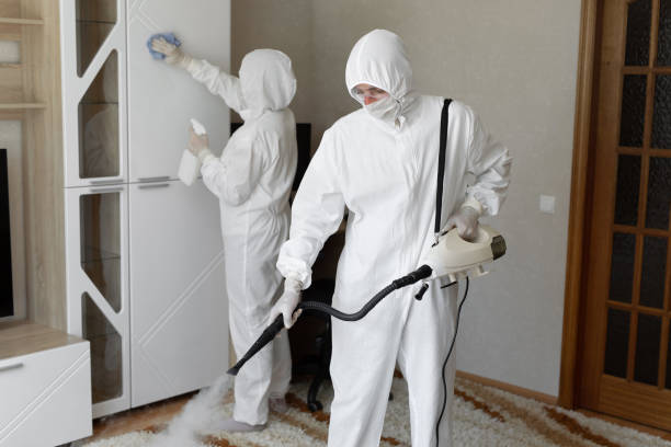 Best Post-Remediation Services in Dranesville, VA